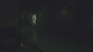 c/Vice_Clip_34
